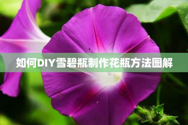 如何DIY雪碧瓶制作花瓶方法图解