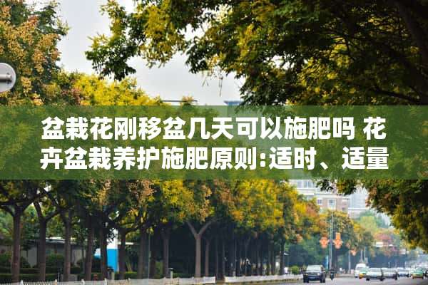 盆栽花刚移盆几天可以施肥吗 花卉盆栽养护施肥原则:适时、适量、适当、勤施薄施，如何仔细做