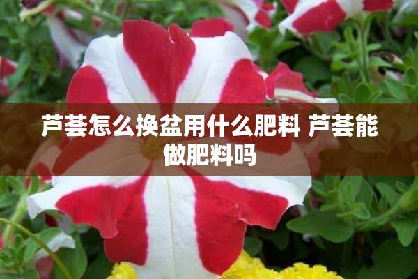 芦荟怎么换盆用什么肥料 芦荟能做肥料吗