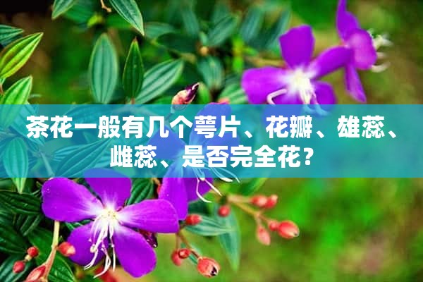 茶花一般有几个萼片、花瓣、雄蕊、雌蕊、是否完全花？