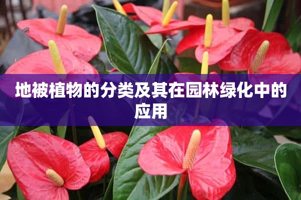 地被植物的分类及其在园林绿化中的应用