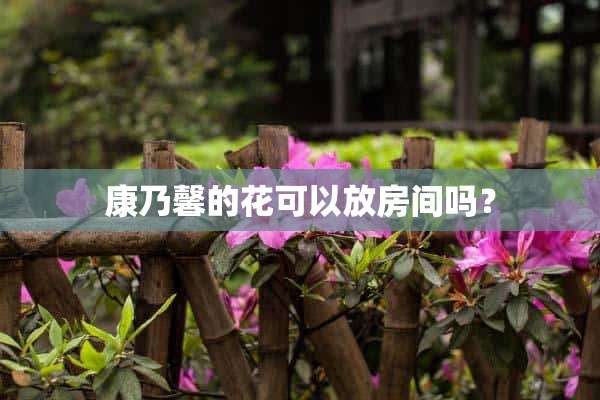 康乃馨的花可以放房间吗？