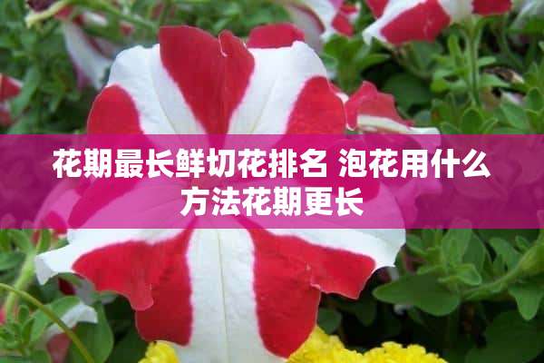 花期最长鲜切花排名 泡花用什么方法花期更长