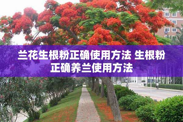 兰花生根粉正确使用方法 生根粉正确养兰使用方法