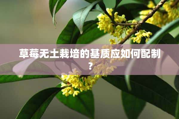 草莓无土栽培的基质应如何配制？