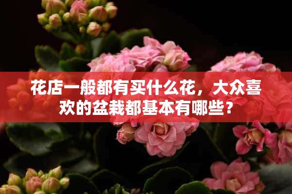 花店一般都有买什么花，大众喜欢的盆栽都基本有哪些？