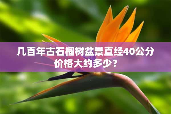 几百年古石榴树盆景直经40公分价格大约多少？