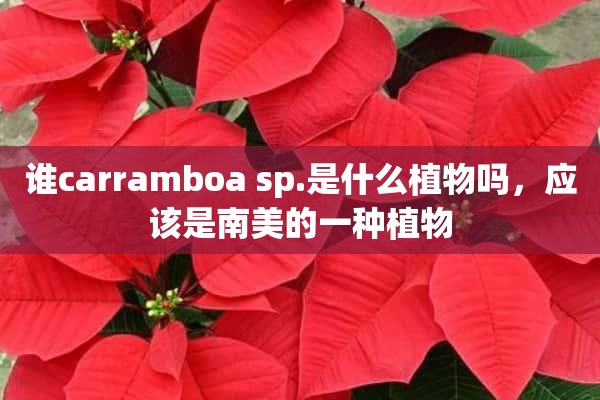 谁carramboa sp.是什么植物吗，应该是南美的一种植物