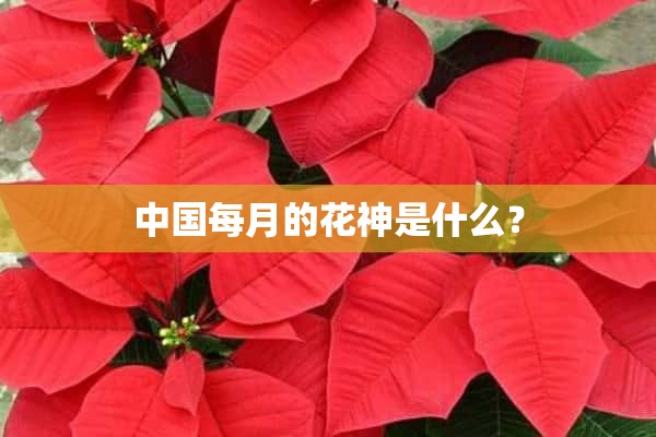 中国每月的花神是什么？