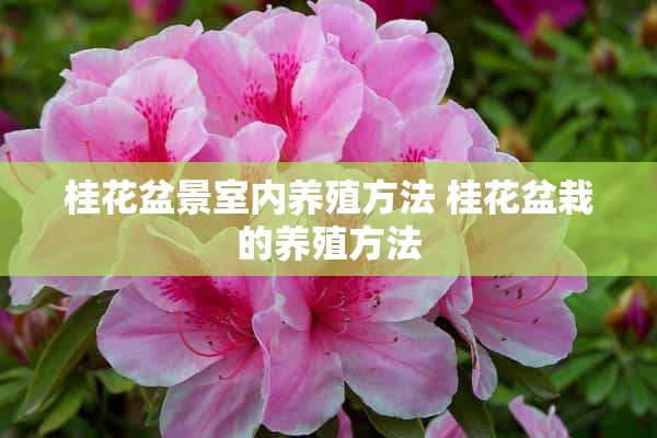 桂花盆景室内养殖方法 桂花盆栽的养殖方法