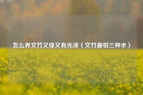 怎么养文竹又绿又有光泽（文竹最怕三种水） 花卉