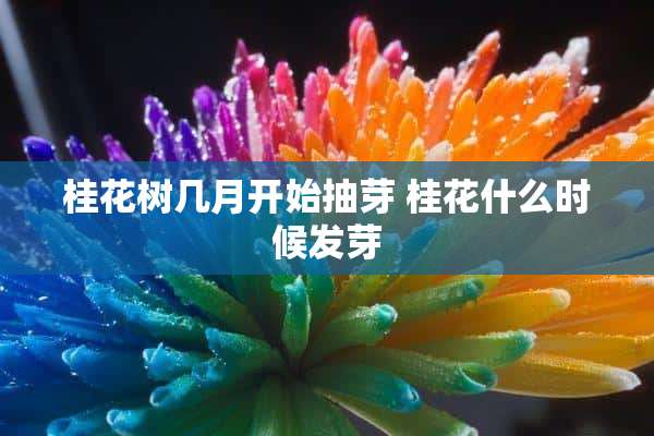 桂花树几月开始抽芽 桂花什么时候发芽