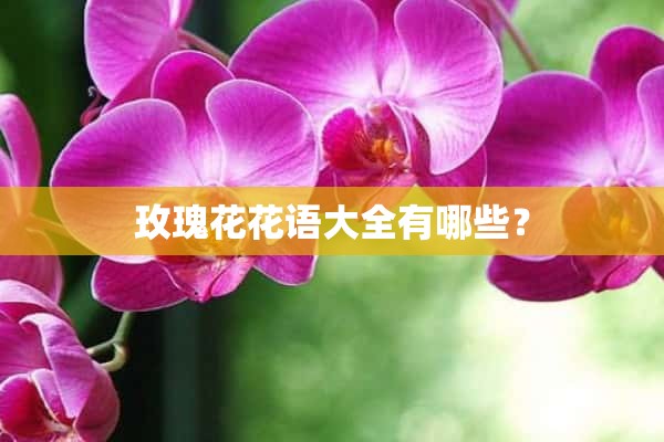 玫瑰花花语大全有哪些？