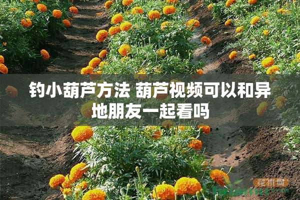 钓小葫芦方法 葫芦视频可以和异地朋友一起看吗