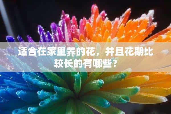 适合在家里养的花，并且花期比较长的有哪些？