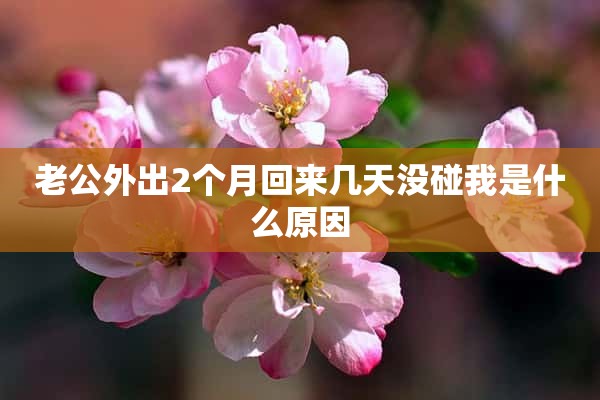 老公外出2个月回来几天没碰我是什么原因