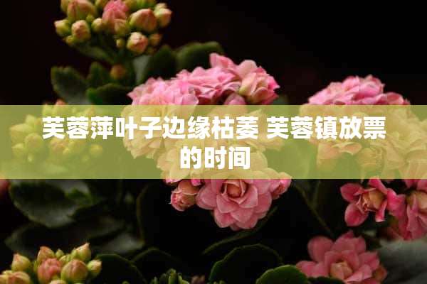 芙蓉萍叶子边缘枯萎 芙蓉镇放票的时间