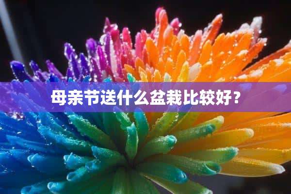 母亲节送什么盆栽比较好？