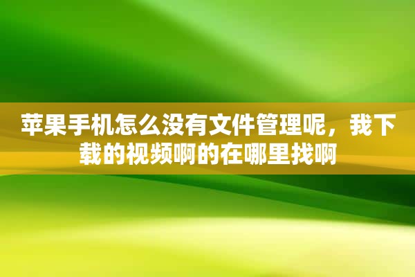 苹果手机怎么没有文件管理呢，我下载的视频啊的在哪里找啊