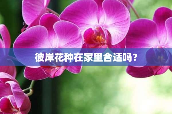 彼岸花种在家里合适吗？