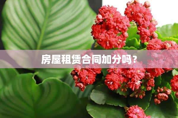 房屋租赁合同加分吗？