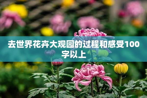 去世界花卉大观园的过程和感受100字以上