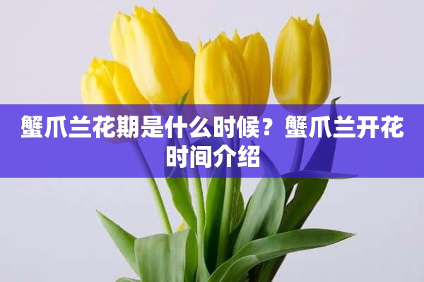 蟹爪兰花期是什么时候？蟹爪兰开花时间介绍