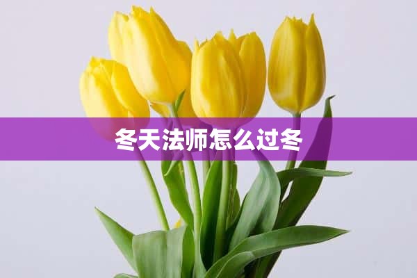 冬天法师怎么过冬