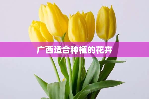 广西适合种植的花卉