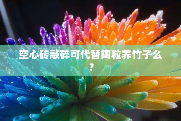 空心砖敲碎可代替陶粒养竹子么？