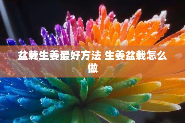 盆栽生姜最好方法 生姜盆栽怎么做