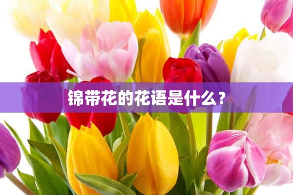 锦带花的花语是什么？