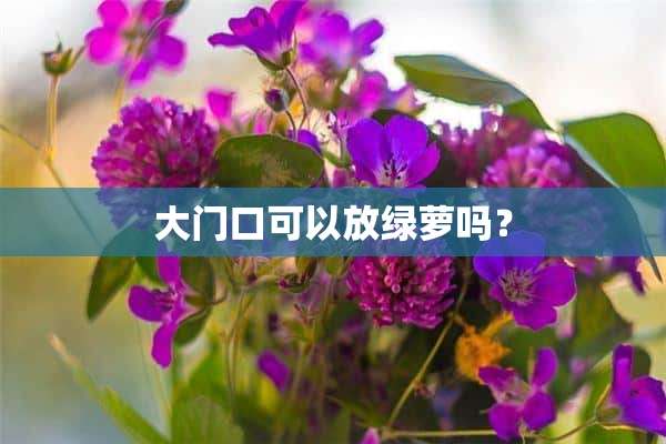 大门口可以放绿萝吗？