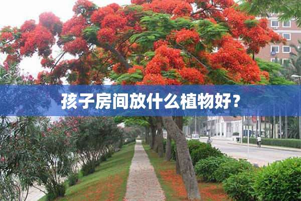 孩子房间放什么植物好？