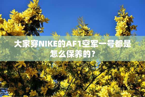 大家穿NIKE的AF1空军一号都是怎么保养的？