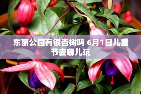 东丽公园有银杏树吗 6月1日儿童节去哪儿玩