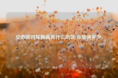 空心菜对尿酸高有什么功效(你知道多少) 种植业