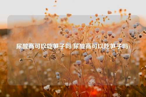 尿酸高可以吃笋子吗(尿酸高可以吃笋子吗) 种植业