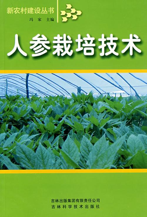 人参栽种方法(人参怎样种植技术)