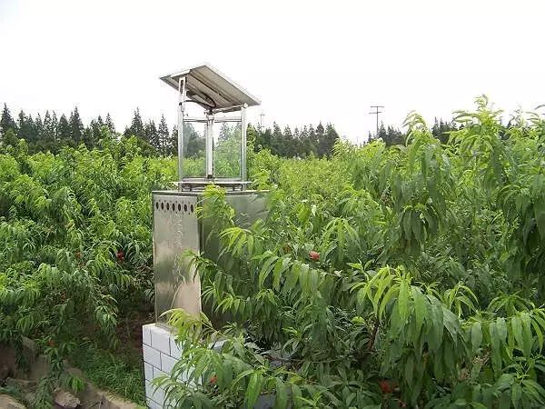 解读果树绿色防控技术，生态防控 物理防治 生物防治