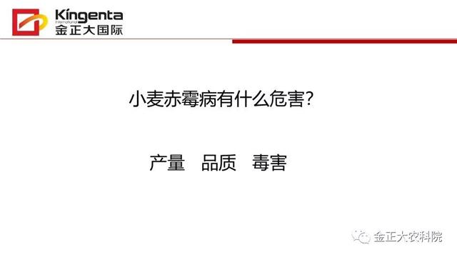 作物病虫害诊断及农药应用基础