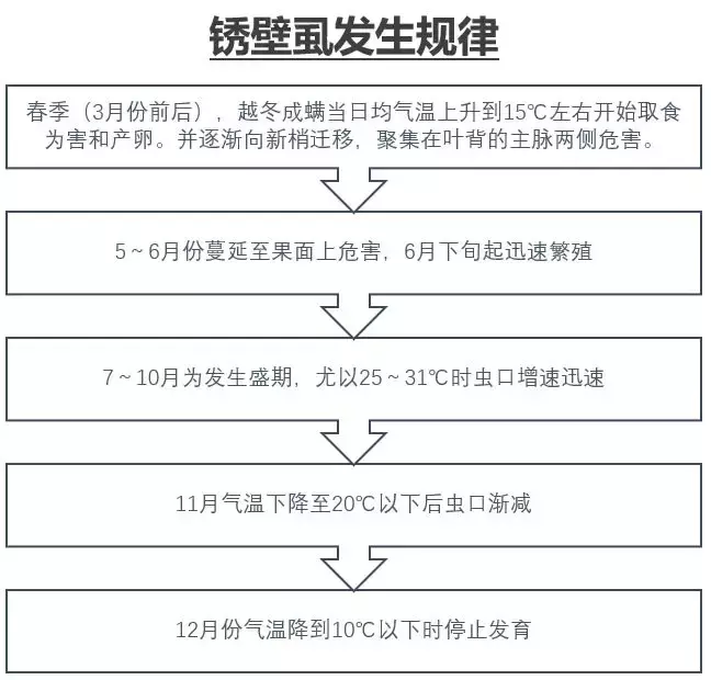 柑枯5月份病虫防治 警惕锈壁虱上幼果(椪柑锈壁虱防治技术)