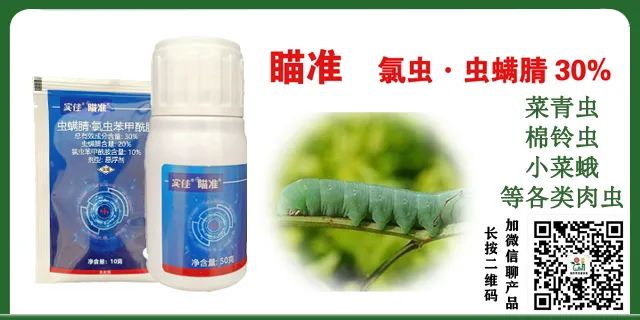 玉米种植常见的病害图片和处理方法(玉米种植常见的病害图片和处理方法大全)