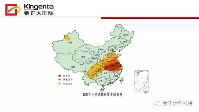 作物病虫害诊断及农药应用基础