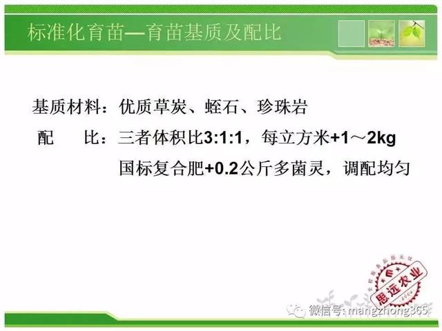 超详细西瓜标准化栽培技术(现在最新西瓜种植技术)