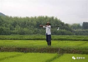 家庭农场老板，告诉你六条血的教训(每一个规矩都是血的教训)