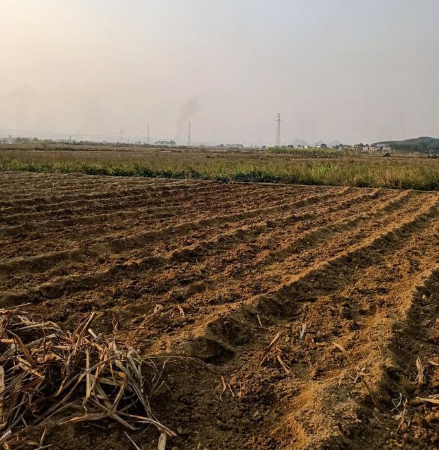 大规模种地挣钱吗