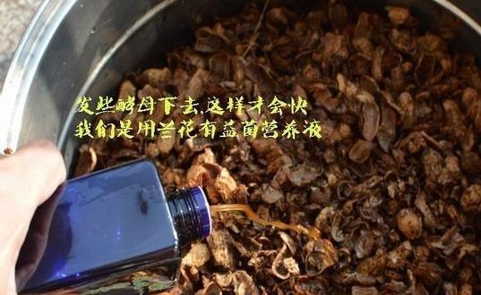 怎么发酵花生壳(怎样发酵腐熟花生壳)