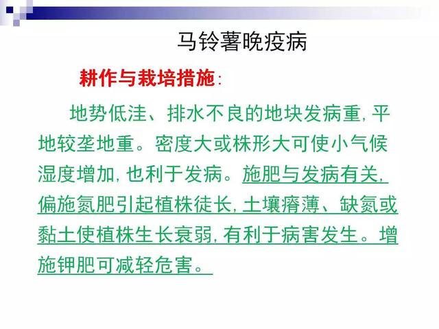 最全的马铃薯病害详解(马铃薯晚疫病是检疫性病害吗)