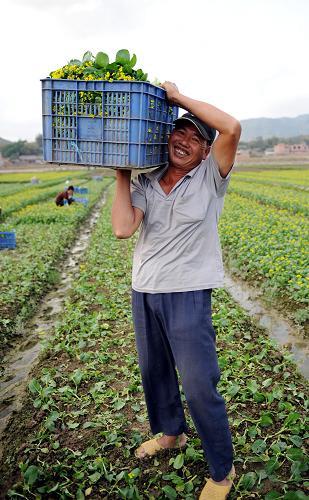 farmer种植技术